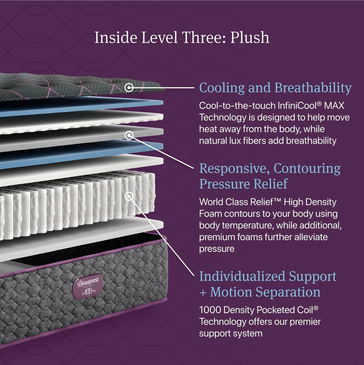 Beautyrest World Class Level Three Plush Mattress