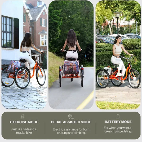 Super Handy GUT162 Eco Ride All Terrain Electric Tricycle 330 Lbs